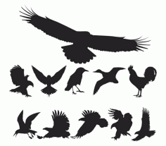 Birds Silhouette Pack of Free Vector, Free Vectors File