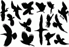 Birds Collection Silhouette Pack of Free Vector, Free Vectors File