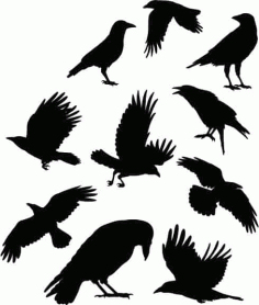 Crow Birds  Collection Silhouette Pack of Free Vector, Free Vectors File