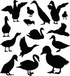 Duck Collection Silhouette Pack of Free Vector, Free Vectors File