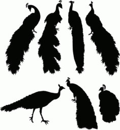 Peacock Silhouette Pack of Free Vector, Free Vectors File