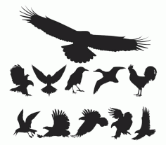 Free Vector Birds Pack Free Vector, Free Vectors File