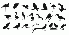 Birds Collection Free Vector, Free Vectors File