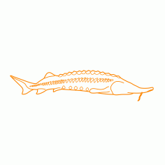 Animals Freshwater Fish Beluga Sturgeon Drawing Svg Vector, Free Vectors File