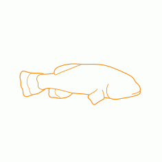 Animals Freshwater Fish Devils Hole Pupfish Line Art Svg Vector, Free Vectors File