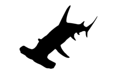 Hammer Head Shark Silhouette Free DXF File, Free Vectors File
