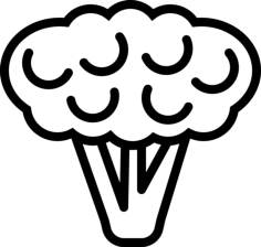 Cauliflower Sketch Style Svg Vector, Free Vectors File