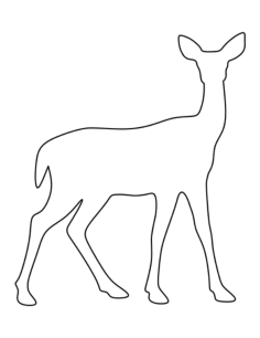 Doe Coloring Pdf, Free Vectors File