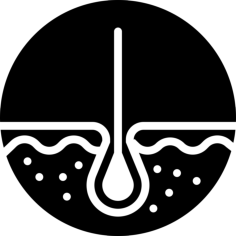 Epidermis Contour Svg Vector, Free Vectors File