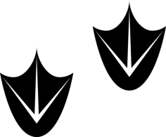 Gooseprints Sketch Style Svg Vector, Free Vectors File