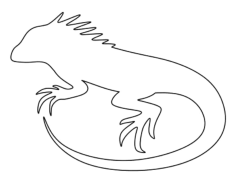 Iguana Tracing Worksheets Pdf, Free Vectors File