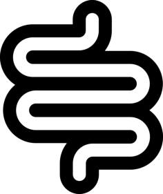Intestine Tracing Svg Vector, Free Vectors File