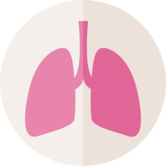 Lung Outline Svg Vector, Free Vectors File