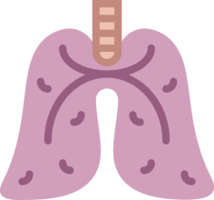 Lungs Outline Svg Vector, Free Vectors File