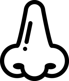Nose Outline Svg File, Free Vectors File