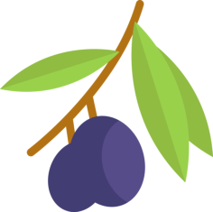 Olives Craft Design Svg File, Free Vectors File