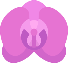 Orchid Outline Icon Svg Set, Free Vectors File
