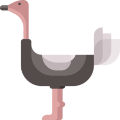 Ostrich Line Art Illustration Svg, Free Vectors File