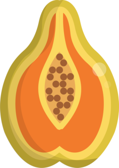 Papaya Tracing Svg Vector, Free Vectors File