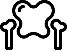 Pelvis Contour Svg Vector, Free Vectors File