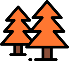 Pines Outline Drawing Svg Vector, Free Vectors File