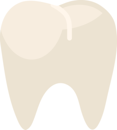 Premolar Simple Line Art Svg, Free Vectors File