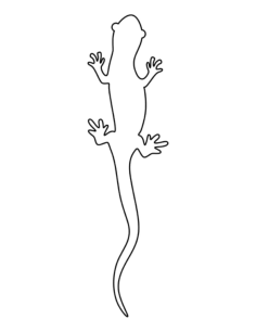 Salamander Coloring Pdf, Free Vectors File