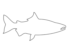 Salmon Tracing Worksheets Pdf, Free Vectors File