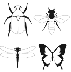 Bug Fly Butterfly Free Dxf File, Free Vectors File