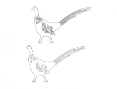 Birds Walking Free DXF File, Free Vectors File