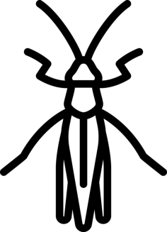 Grasshopper Contour Svg Vector, Free Vectors File