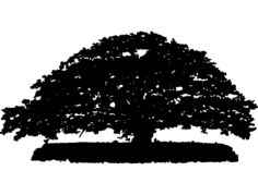 Big Tree Free DXF File, Free Vectors File
