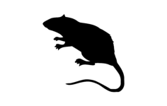 Rat Silhouette Free DXF File, Free Vectors File