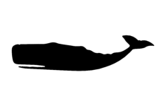 Sperm Whale Silhouette Free DXF File, Free Vectors File