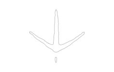 Turkey Tracks Free DXF File, Free Vectors File