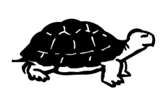 Turtle Free DXF File, Free Vectors File