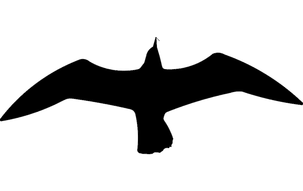 Seagul Silhouette Free DXF File Free Vectors