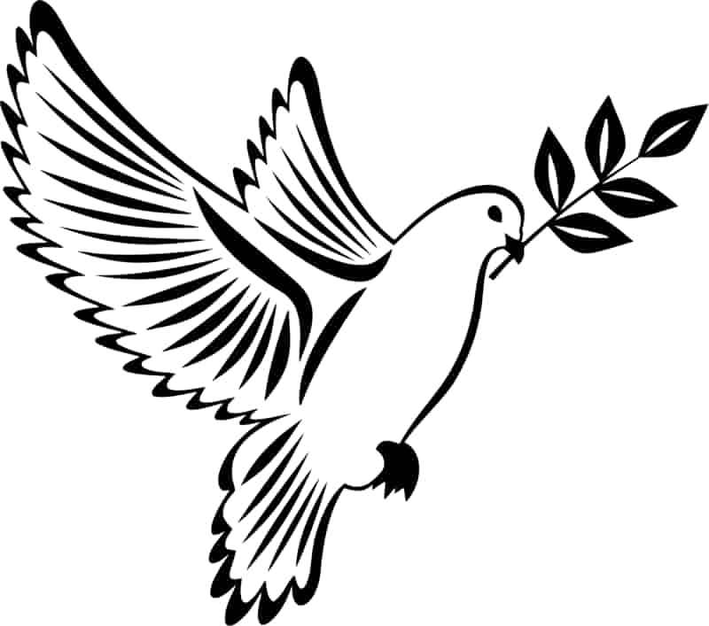 Pigeon with Flower Birds Stencil Free Vector Free Vectors