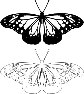 Cutout Butterfly Sticker Free Vector Free Vectors