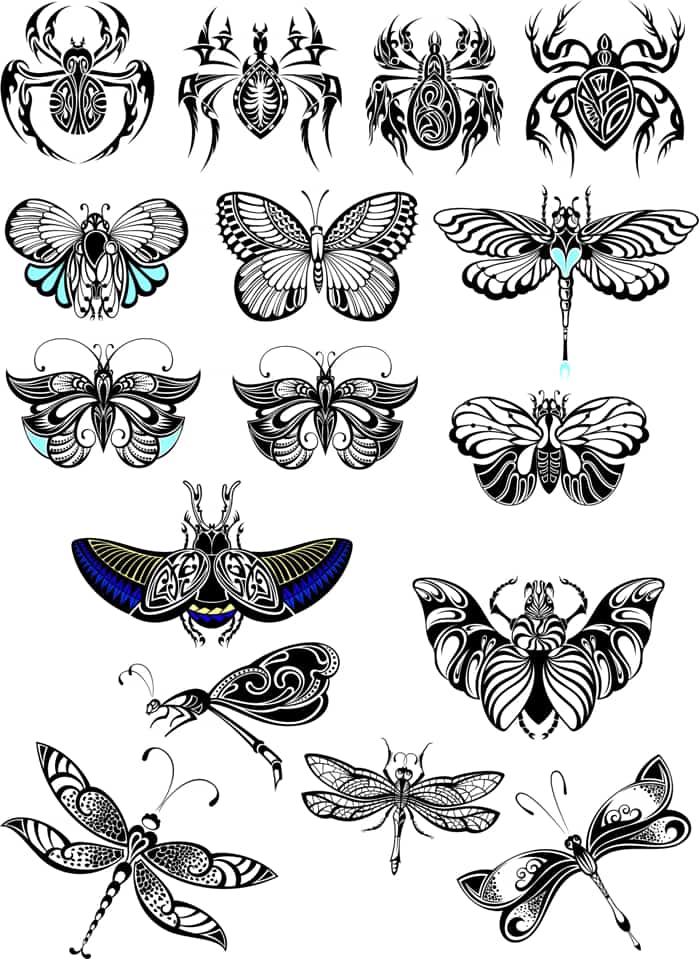 Butterfly Collection Vector Set Free Vector Free Vectors