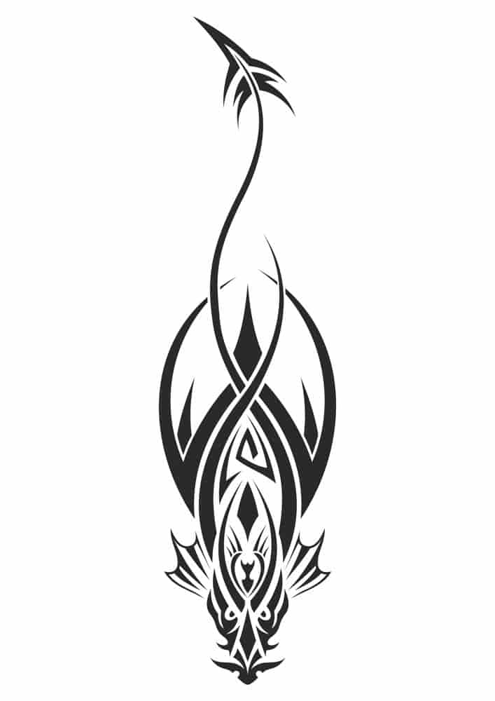 Dragon Tattoo Design Free Vector Free Vectors