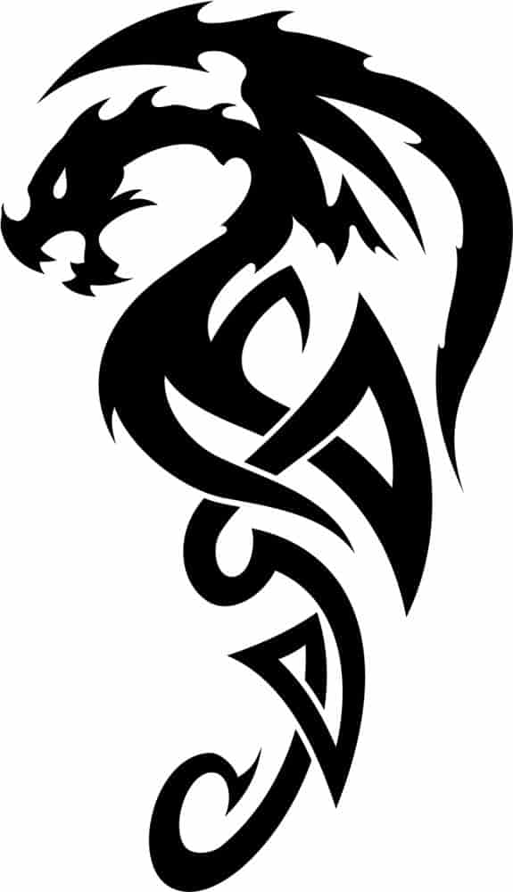 Celtic Dragon Tattoo Free Vector Free Vectors