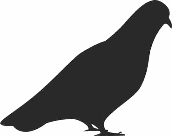 Bird Dove Silhouette Sticker Free Vector Free Vectors