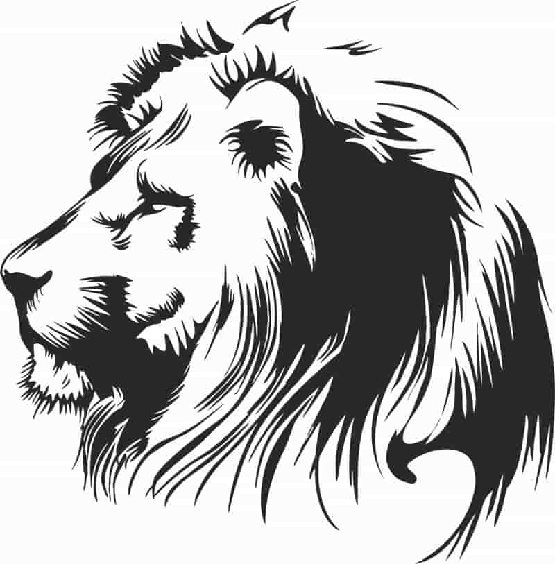 Lion Animal Stencil Free Vector Free Vectors