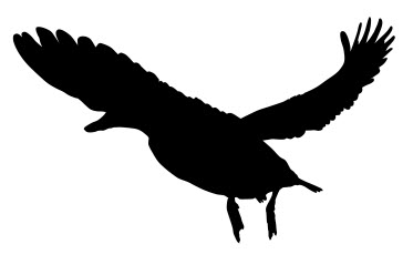 Duck Flying Silhouette Free DXF File Free Vectors