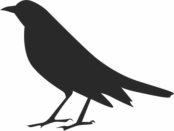 Halloween Crow Silhouette Free Vector Free Vectors