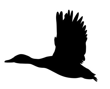 Mallard Duck Flying Silhouette Sticker Free DXF File Free Vectors