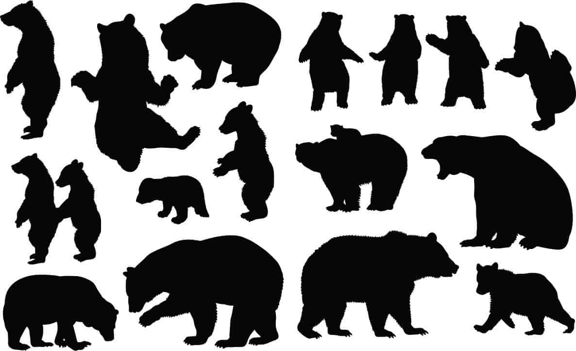 Bear Animals Collection Silhouette Pack of Free Vector Free Vectors