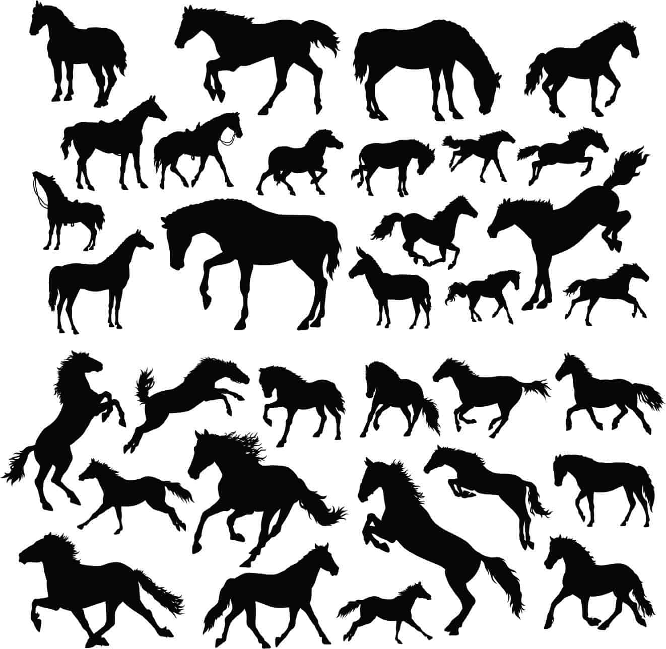 Horse Animals Collection Silhouette Pack of Free Vector Free Vectors