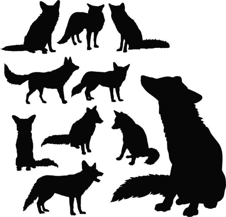 Jackals Animal Collection Silhouette Pack of Free Vector Free Vectors